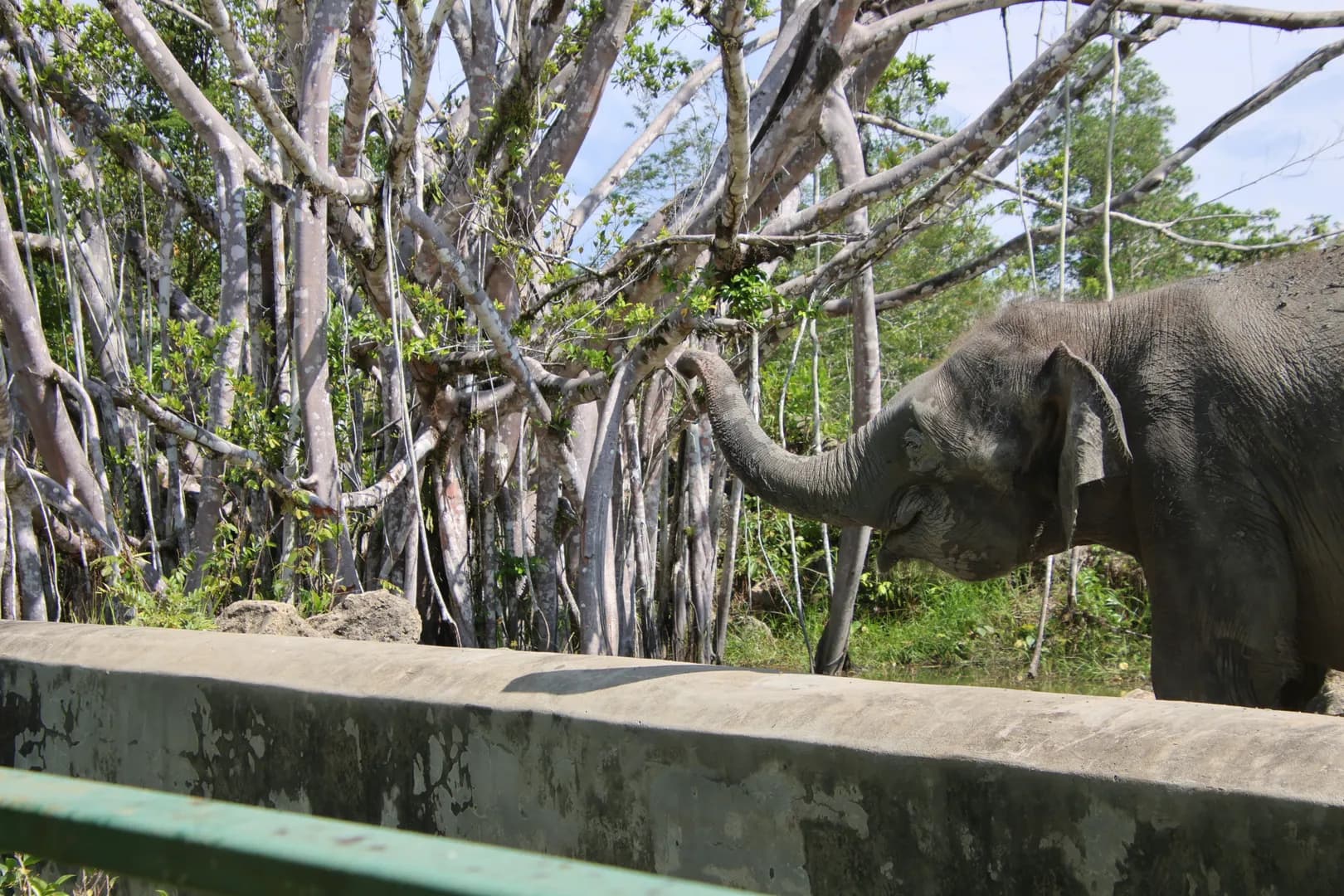 Borneo - Gallery Image 1 - EVA Travel