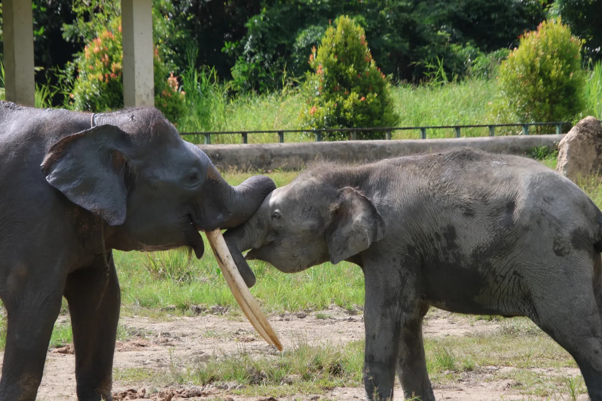 About EVA Travel - Ethical Volunteer Adventures