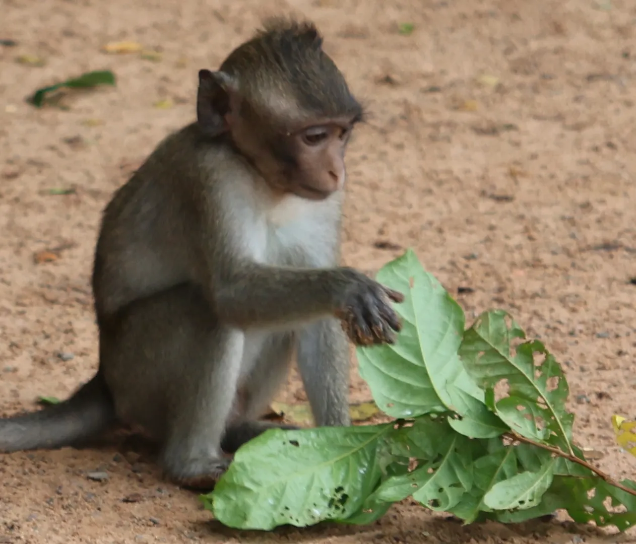 Cambodia - Day 5: Immersion in Rural Cambodia - EVA Travel