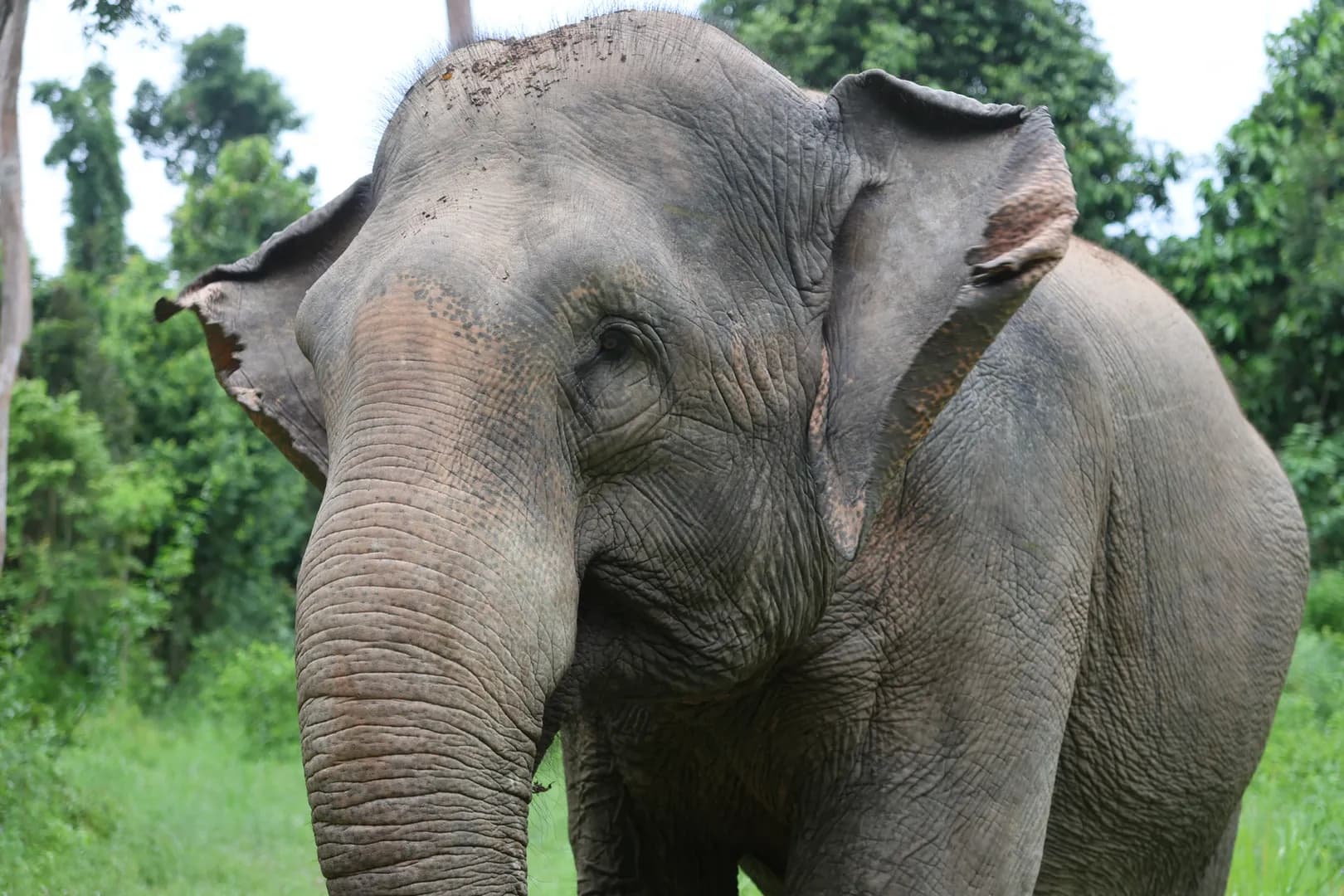 Wildlife Sanctuary