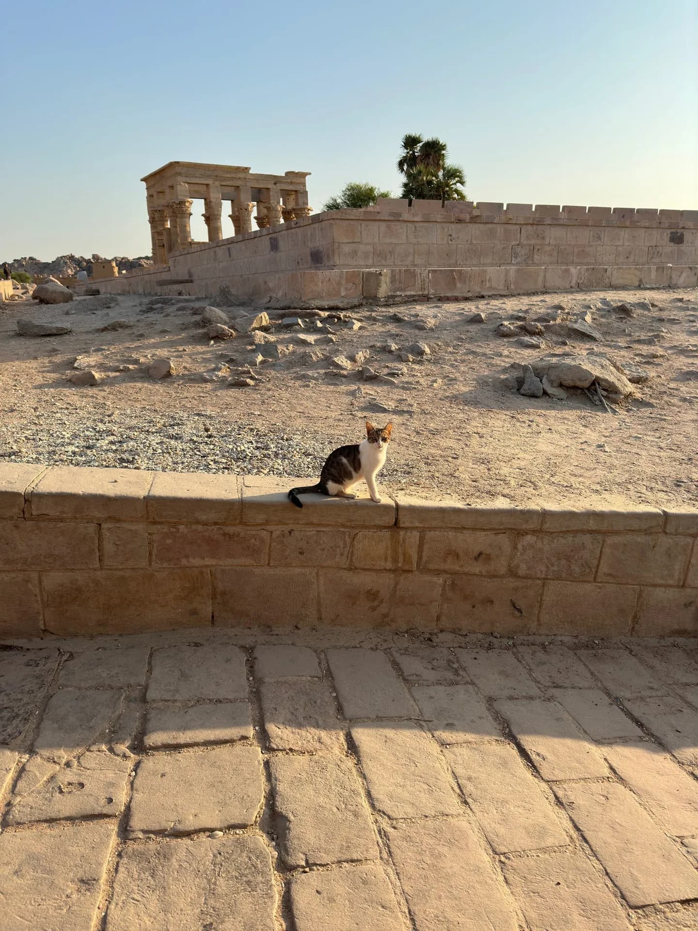 The Great Pyramids, Sphinx & Grand Egyptian Museum