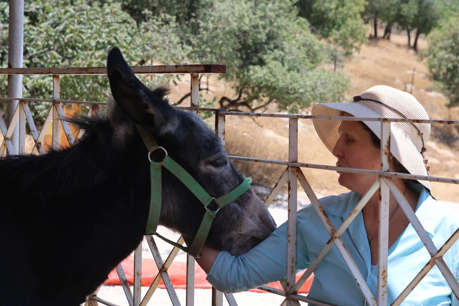 Jordan - Day 3: Um Qais, Local Crafts and amina's thara nursery - EVA Travel