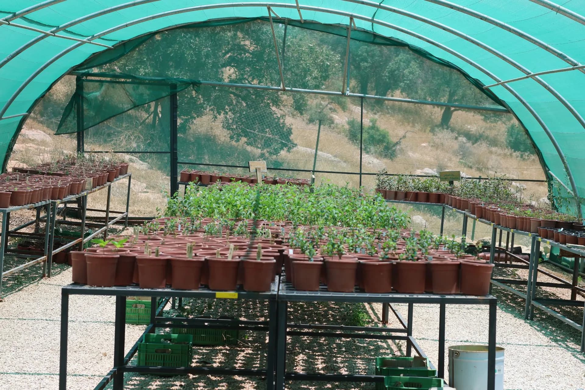Eco-Adventure - Sustainability, Cycling & Wadi Namira