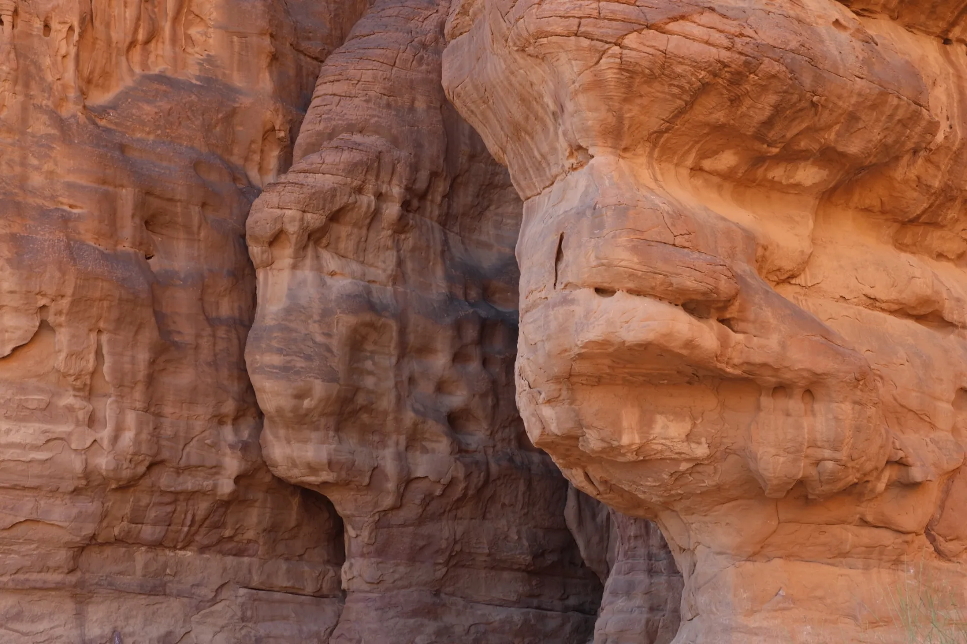 Women's Empowerment & the Magic of Wadi Rum